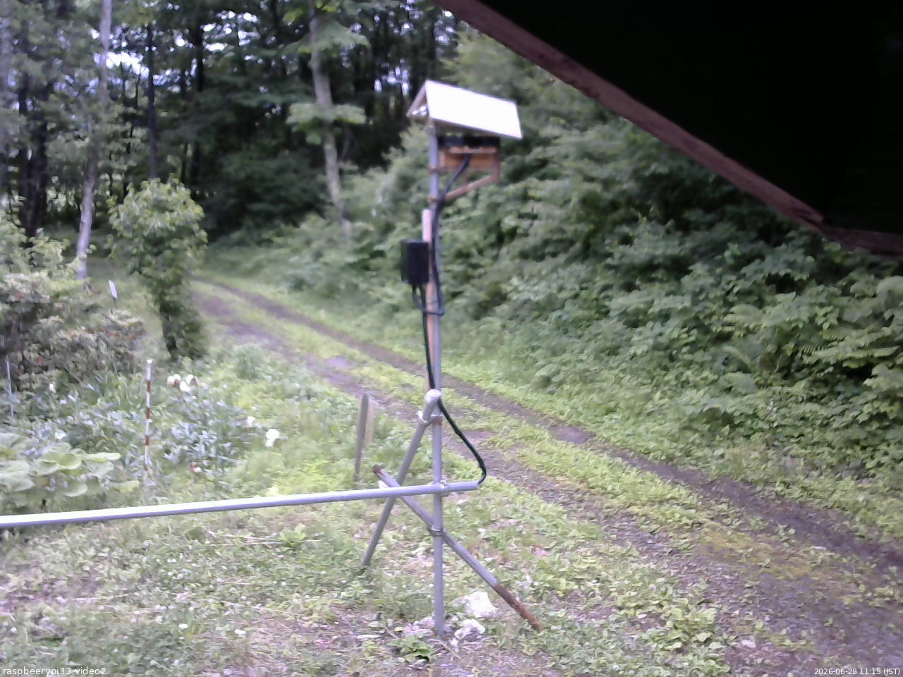 長野県菅平高原 ゆたか山荘 南側 2026/06/28 11:15