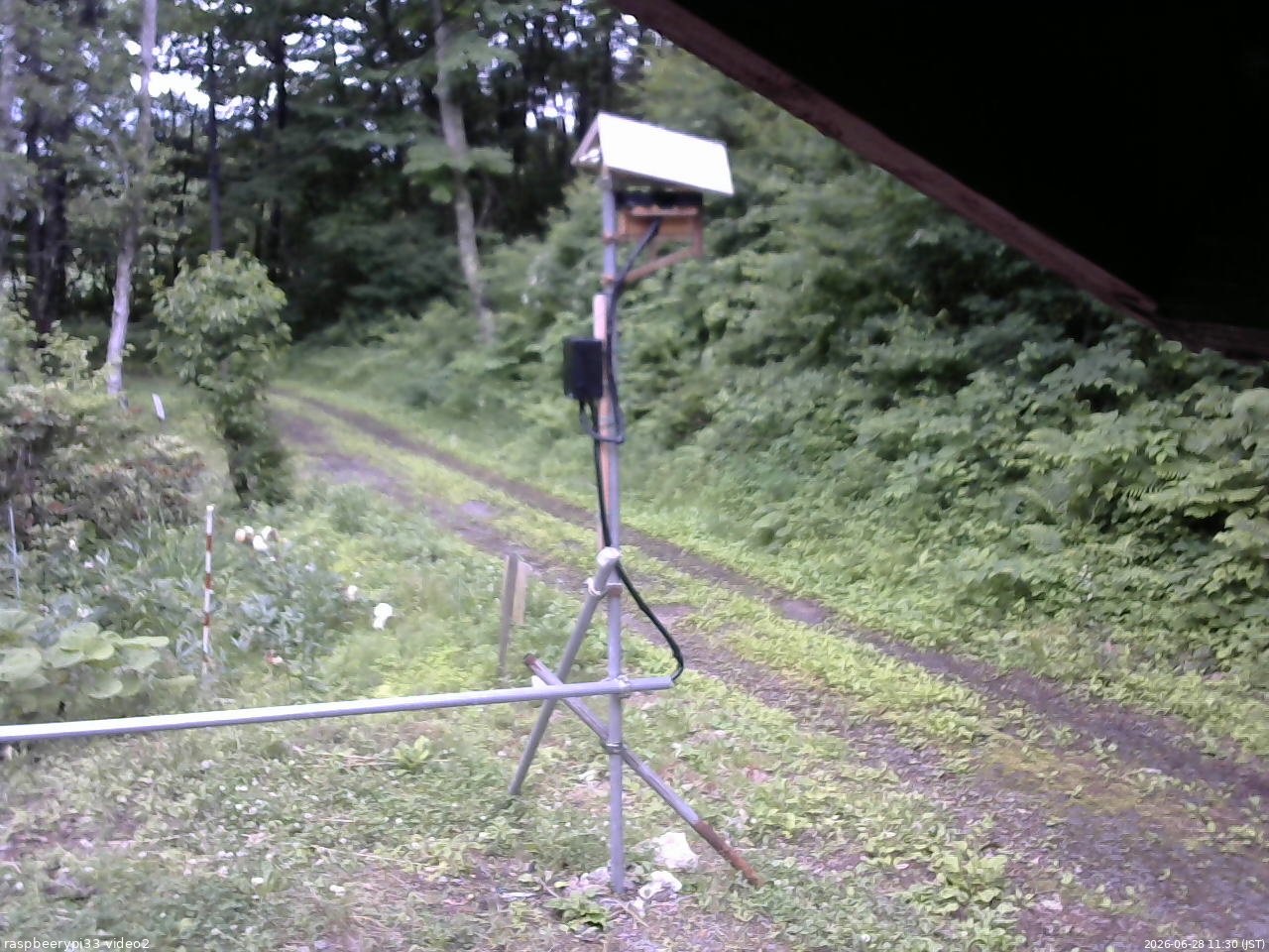 長野県菅平高原 ゆたか山荘 南側 2026/06/28 11:30