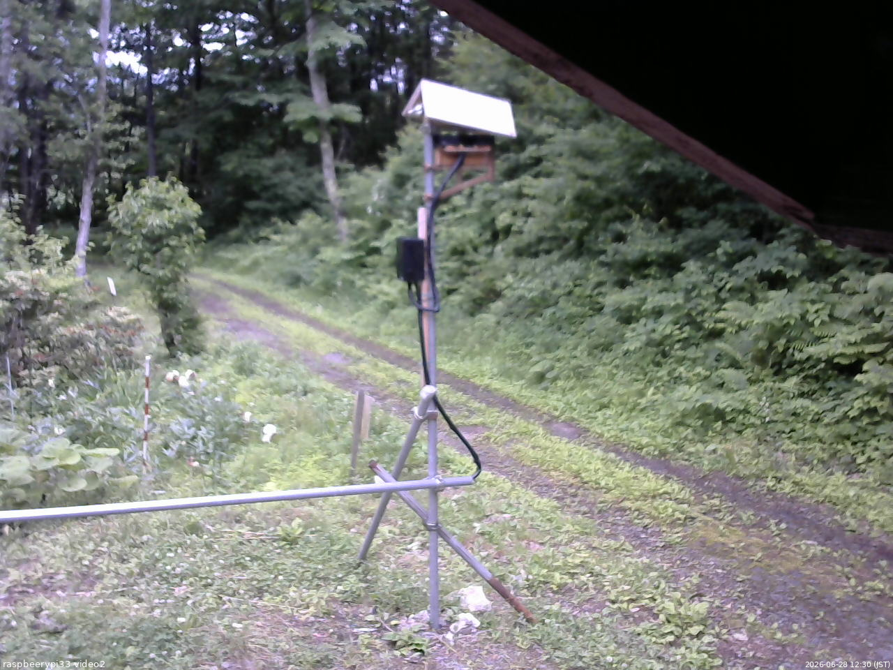 長野県菅平高原 ゆたか山荘 南側 2026/06/28 12:30