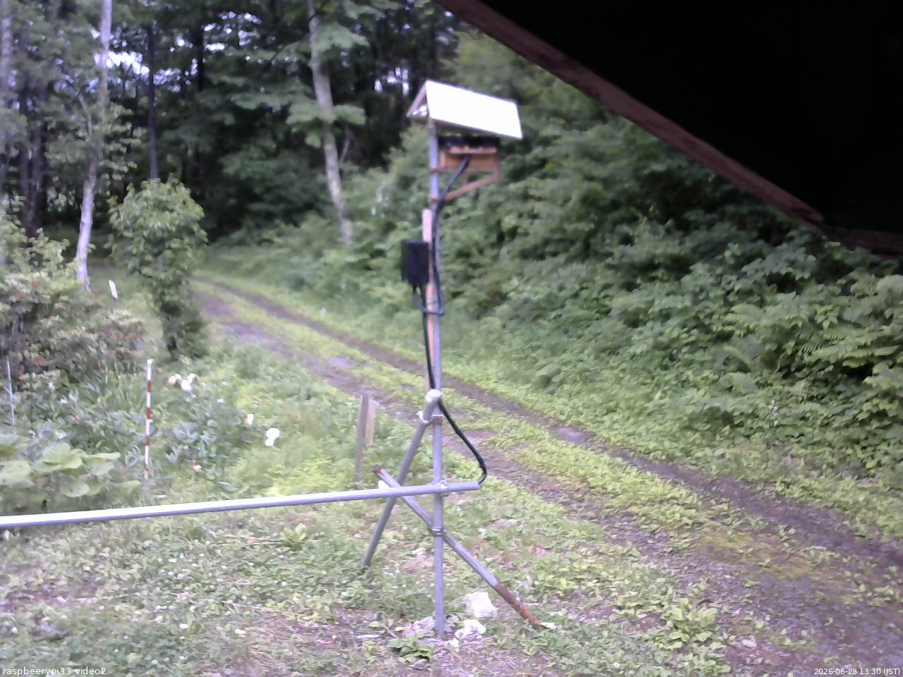 長野県菅平高原 ゆたか山荘 南側 2026/06/28 13:30