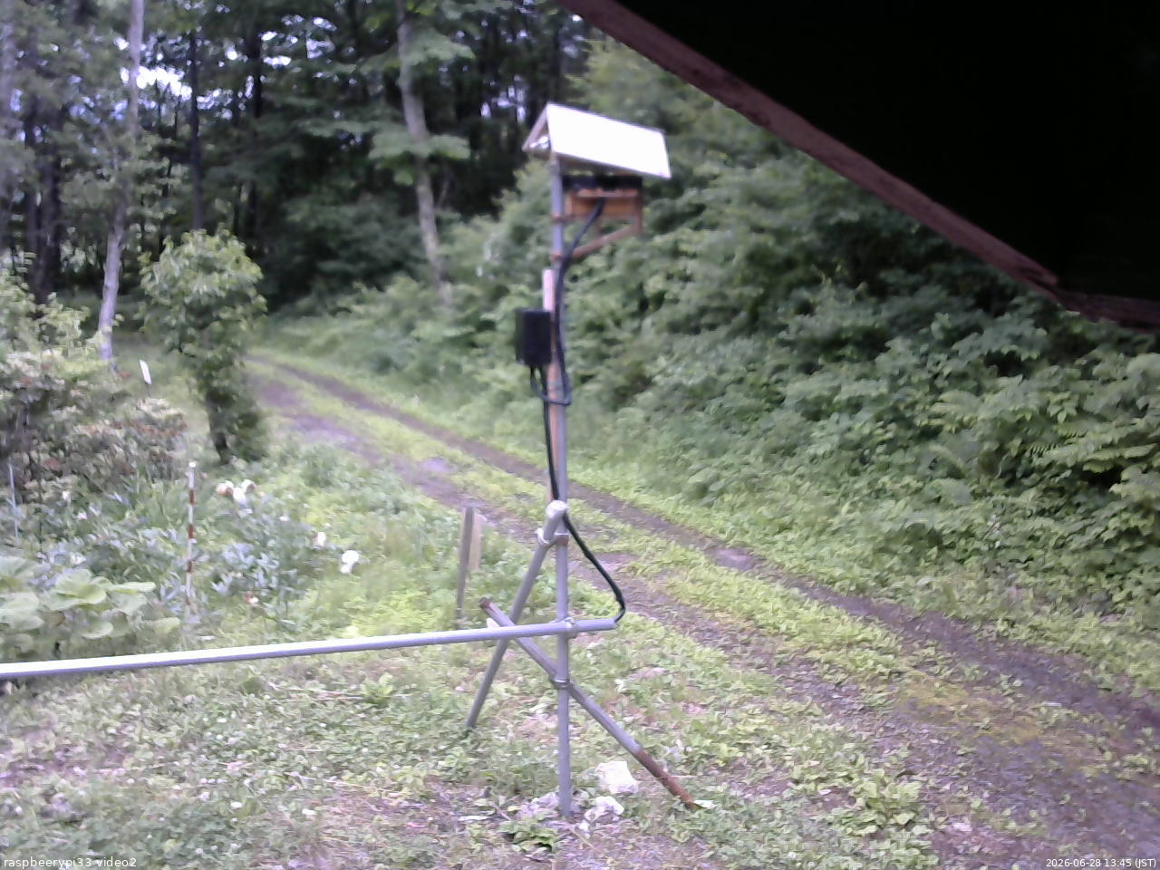 長野県菅平高原 ゆたか山荘 南側 2026/06/28 13:45