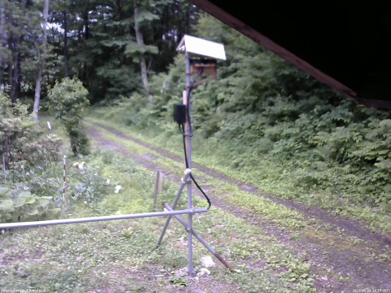 長野県菅平高原 ゆたか山荘 南側 2026/06/28 14:15