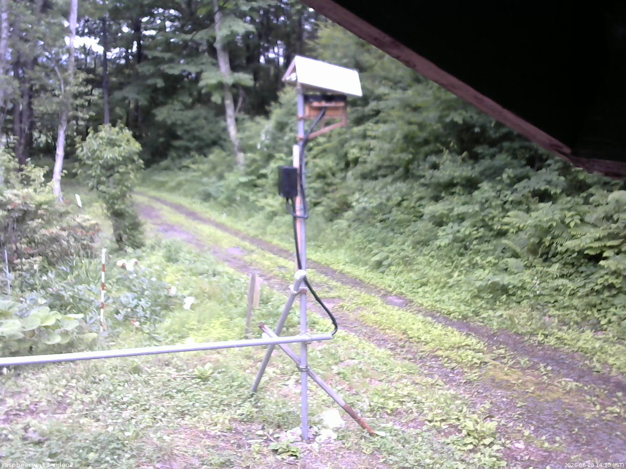 長野県菅平高原 ゆたか山荘 南側 2026/06/28 14:30