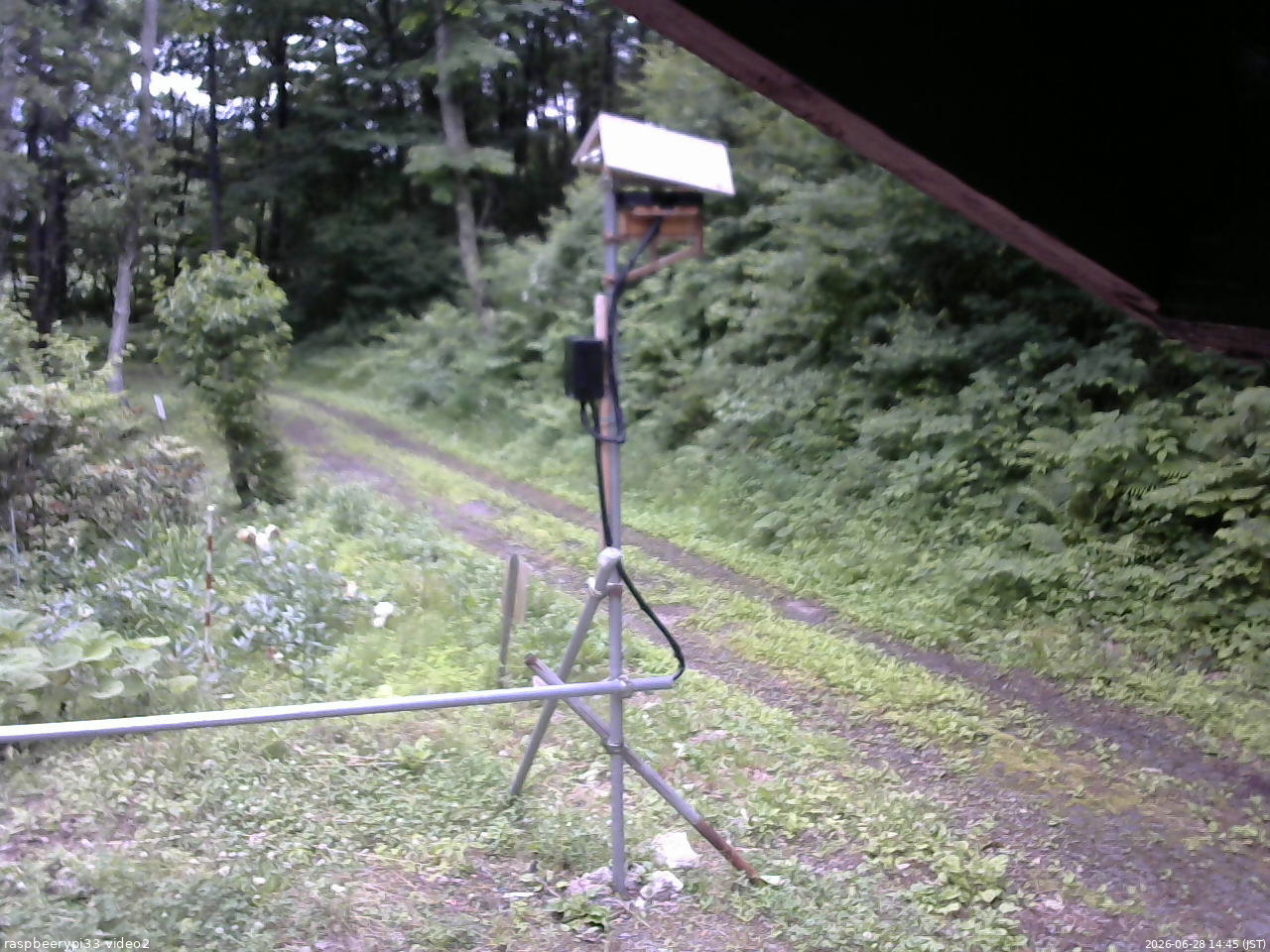 長野県菅平高原 ゆたか山荘 南側 2026/06/28 14:45