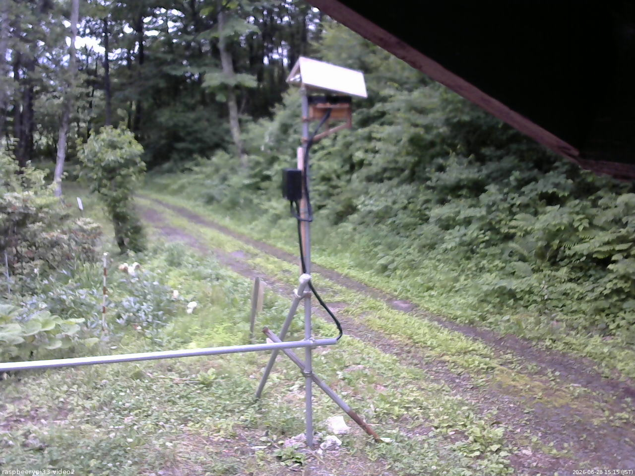 長野県菅平高原 ゆたか山荘 南側 2026/06/28 15:15