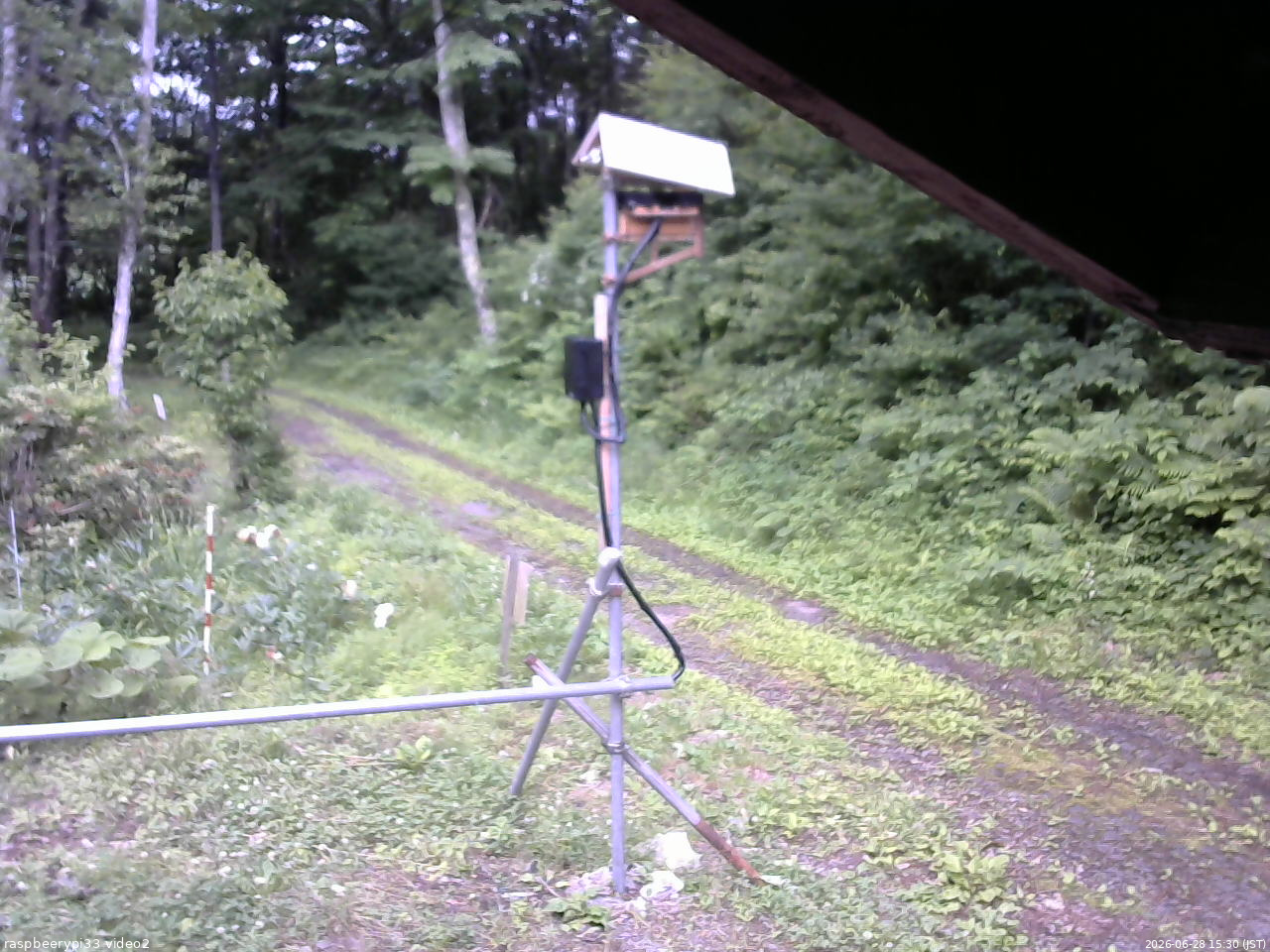 長野県菅平高原 ゆたか山荘 南側 2026/06/28 15:30