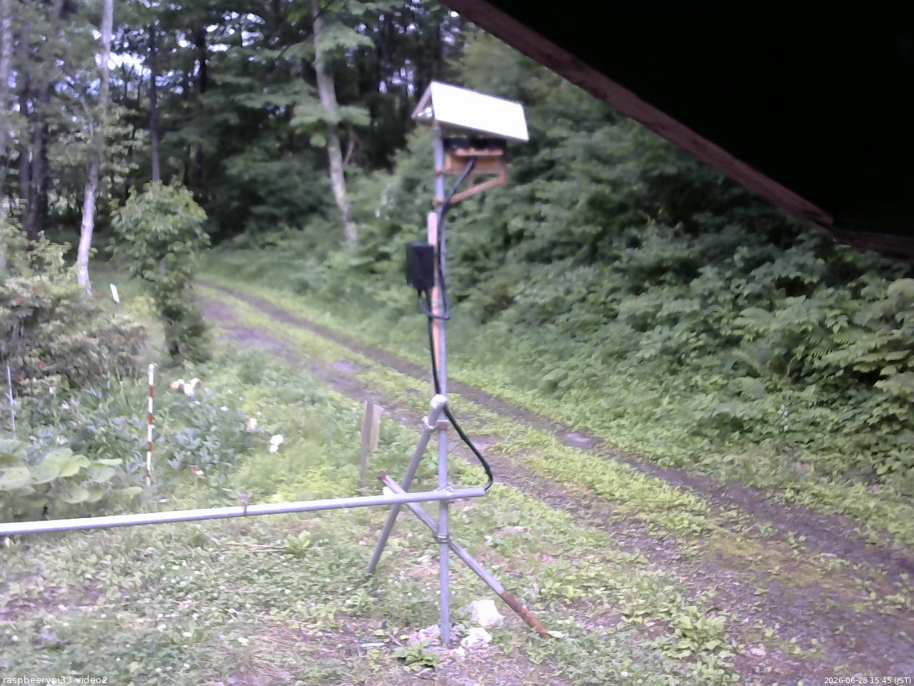 長野県菅平高原 ゆたか山荘 南側 2026/06/28 15:45
