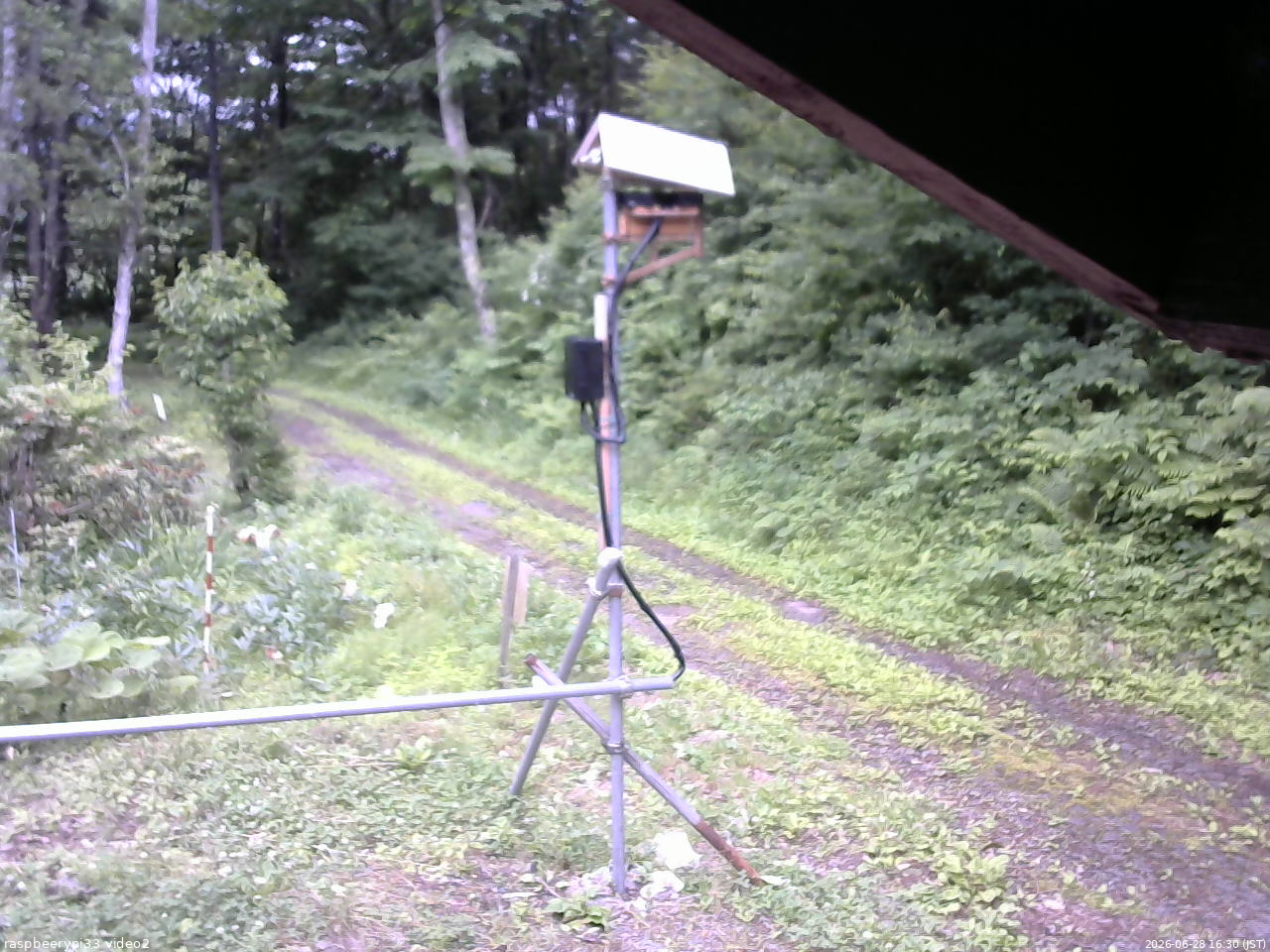 長野県菅平高原 ゆたか山荘 南側 2026/06/28 16:30
