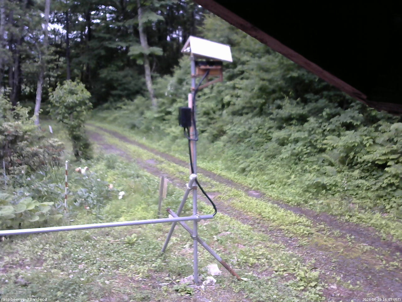 長野県菅平高原 ゆたか山荘 南側 2026/06/28 16:45
