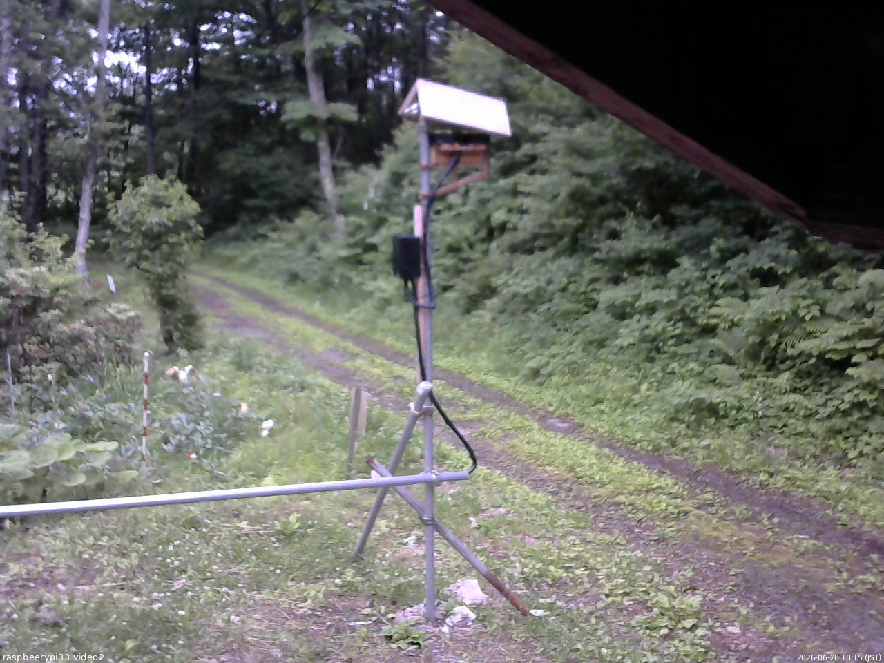 長野県菅平高原 ゆたか山荘 南側 2026/06/28 18:15