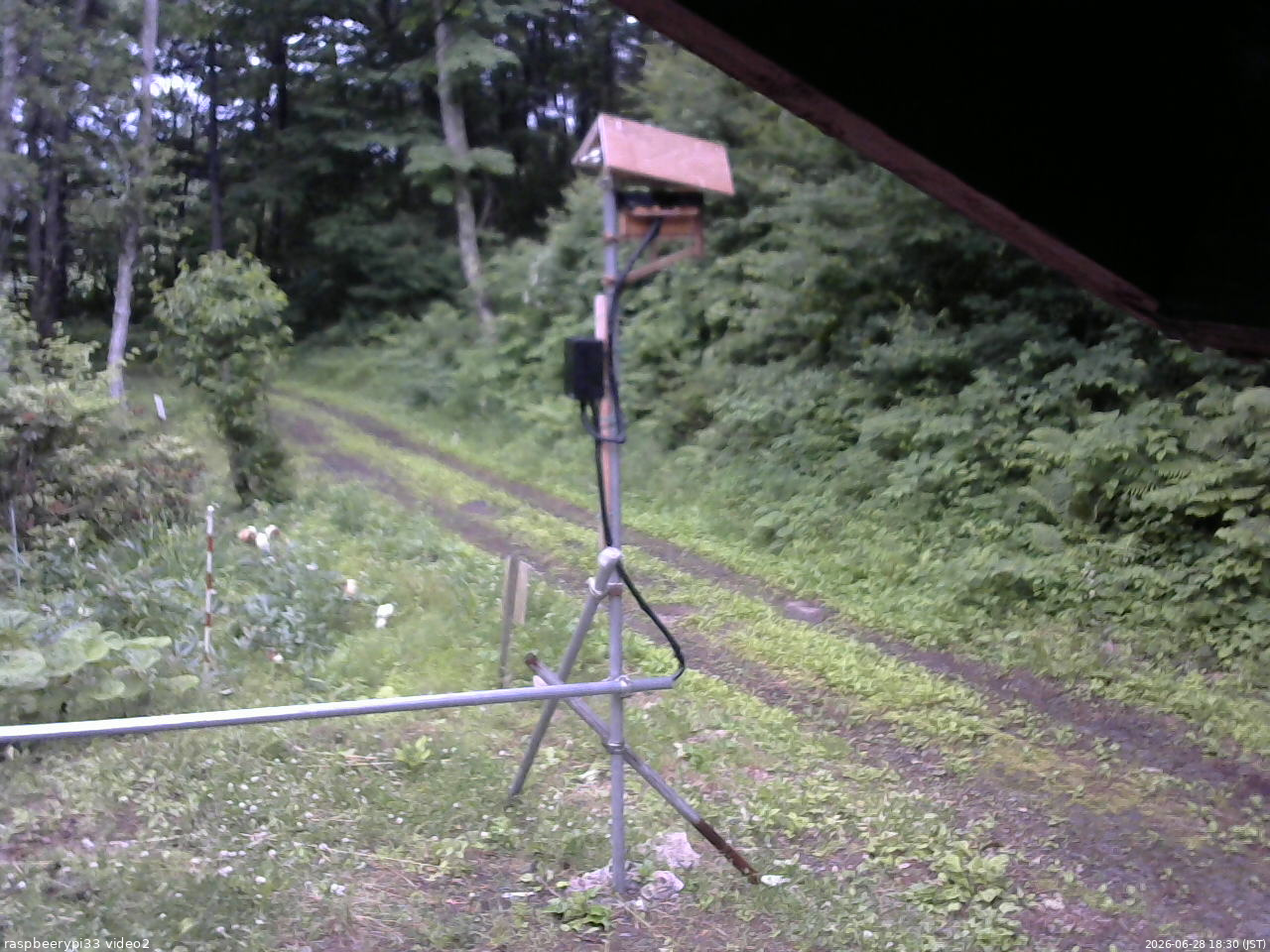 長野県菅平高原 ゆたか山荘 南側 2026/06/28 18:30