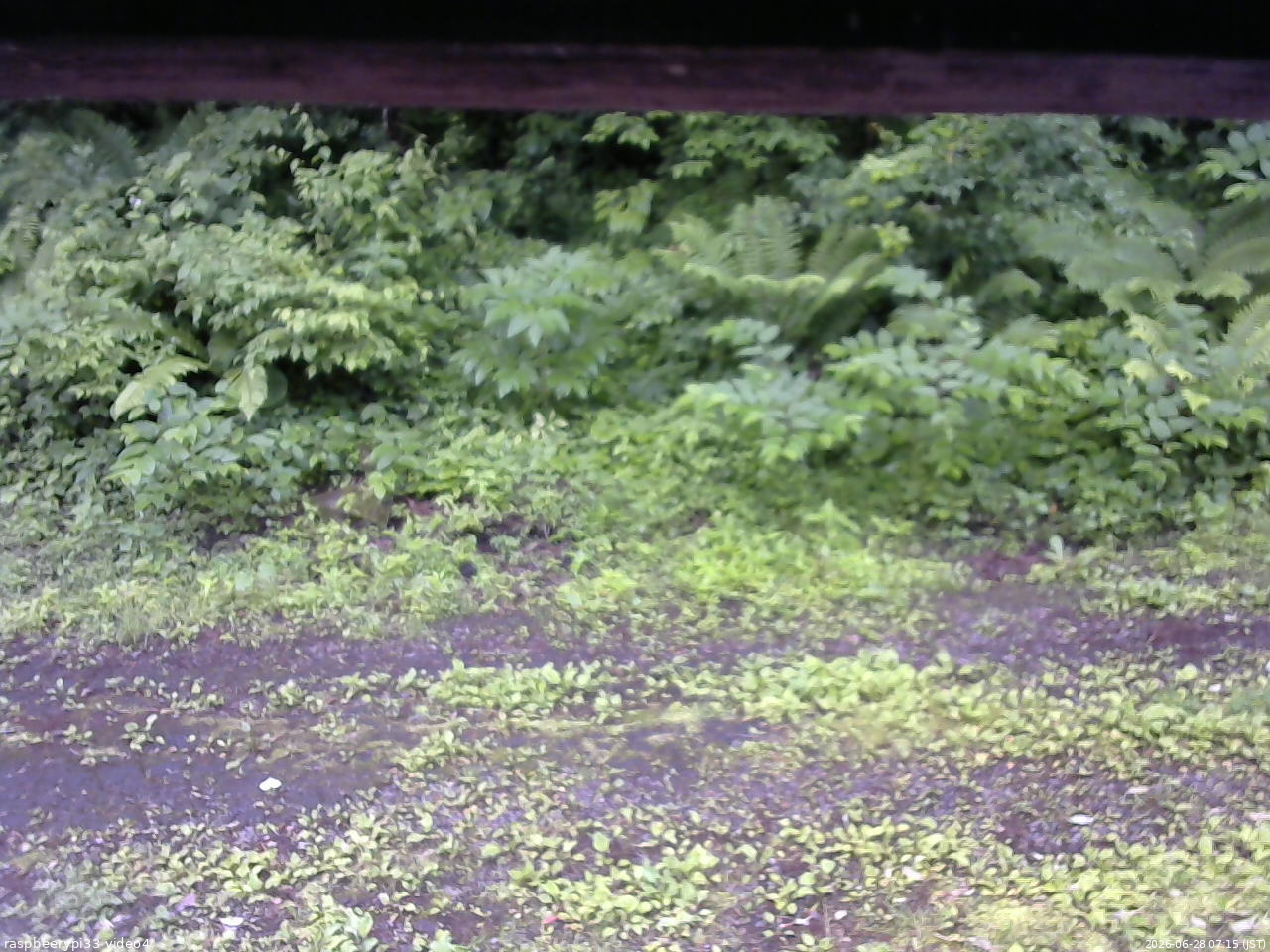 長野県菅平高原 ゆたか山荘 東側(坂下) 2026/06/28 07:15