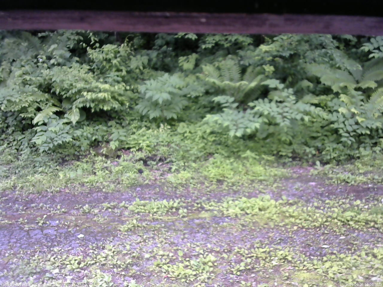 長野県菅平高原 ゆたか山荘 東側(坂下) 2026/06/28 10:00