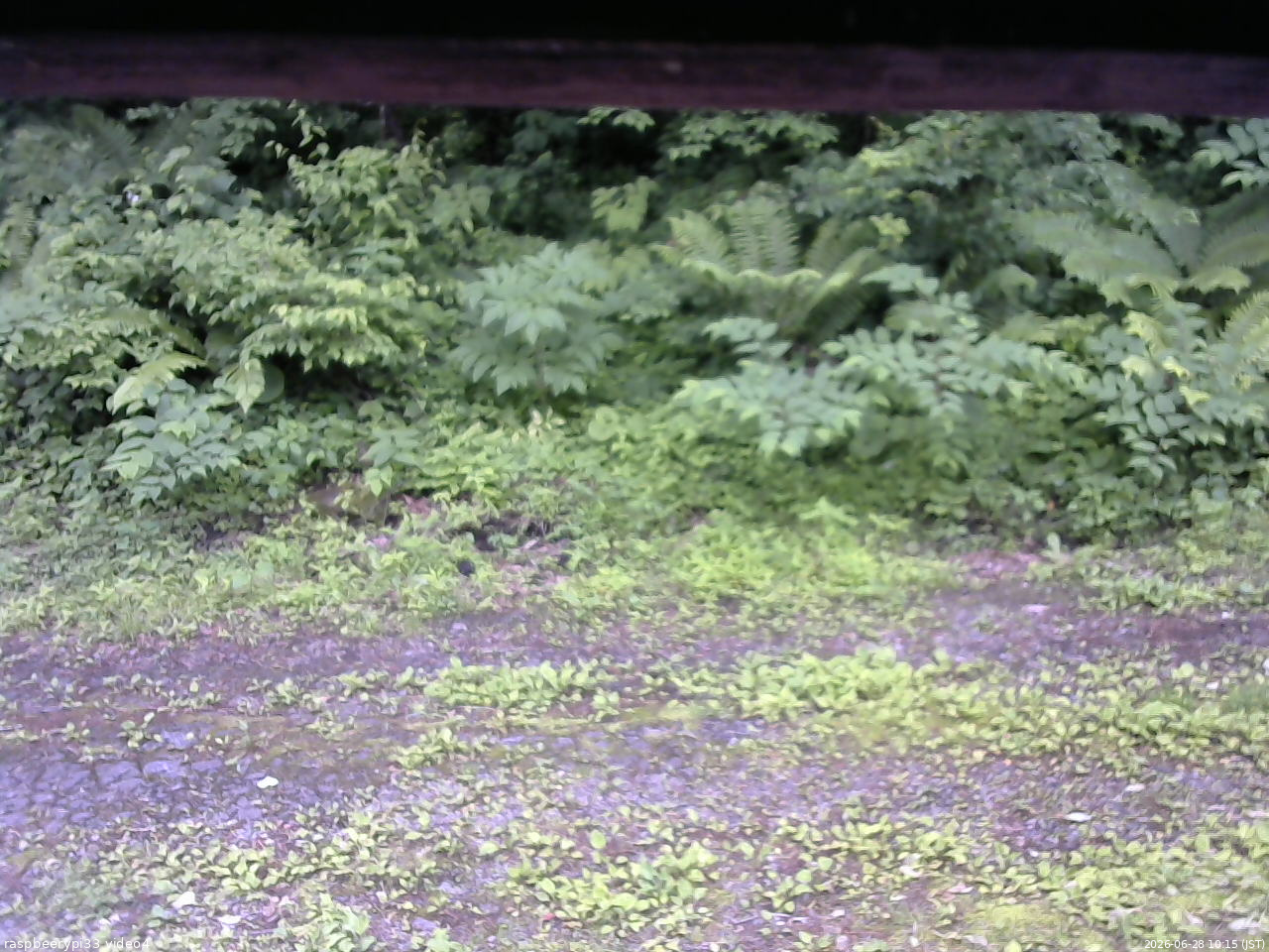 長野県菅平高原 ゆたか山荘 東側(坂下) 2026/06/28 10:15
