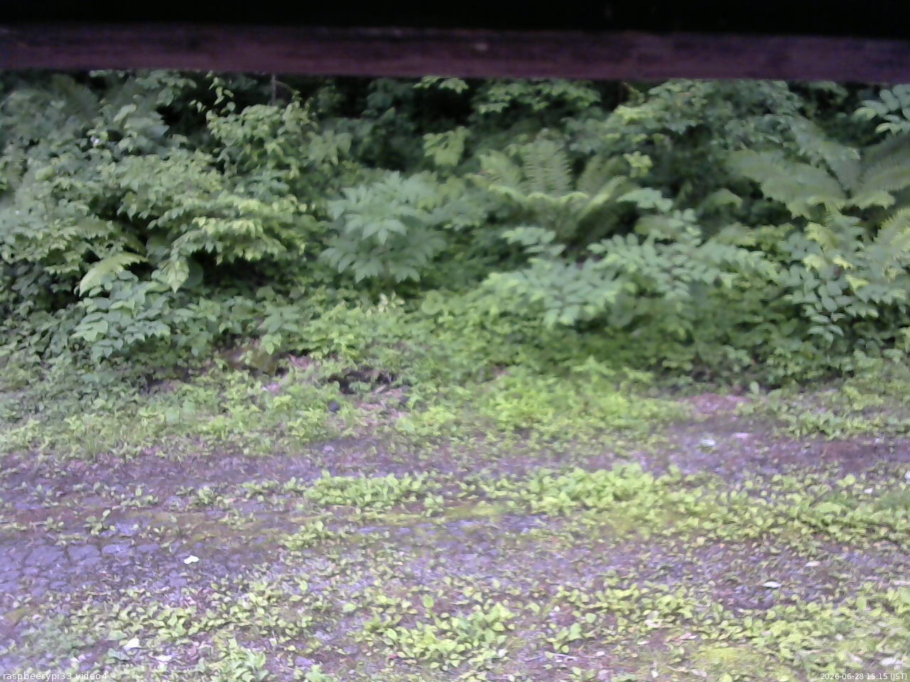 長野県菅平高原 ゆたか山荘 東側(坂下) 2026/06/28 15:15