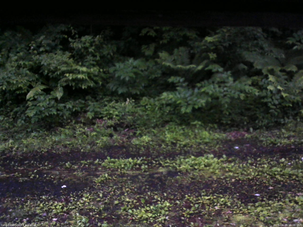 長野県菅平高原 ゆたか山荘 東側(坂下) 2026/06/28 19:00