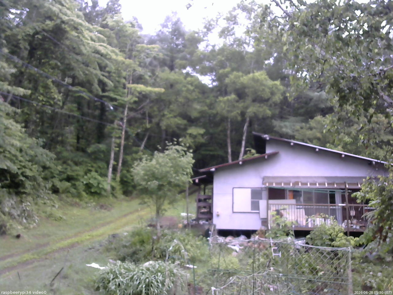 長野県菅平高原 ゆたか山荘 西側(坂上) 2026/06/28 05:30