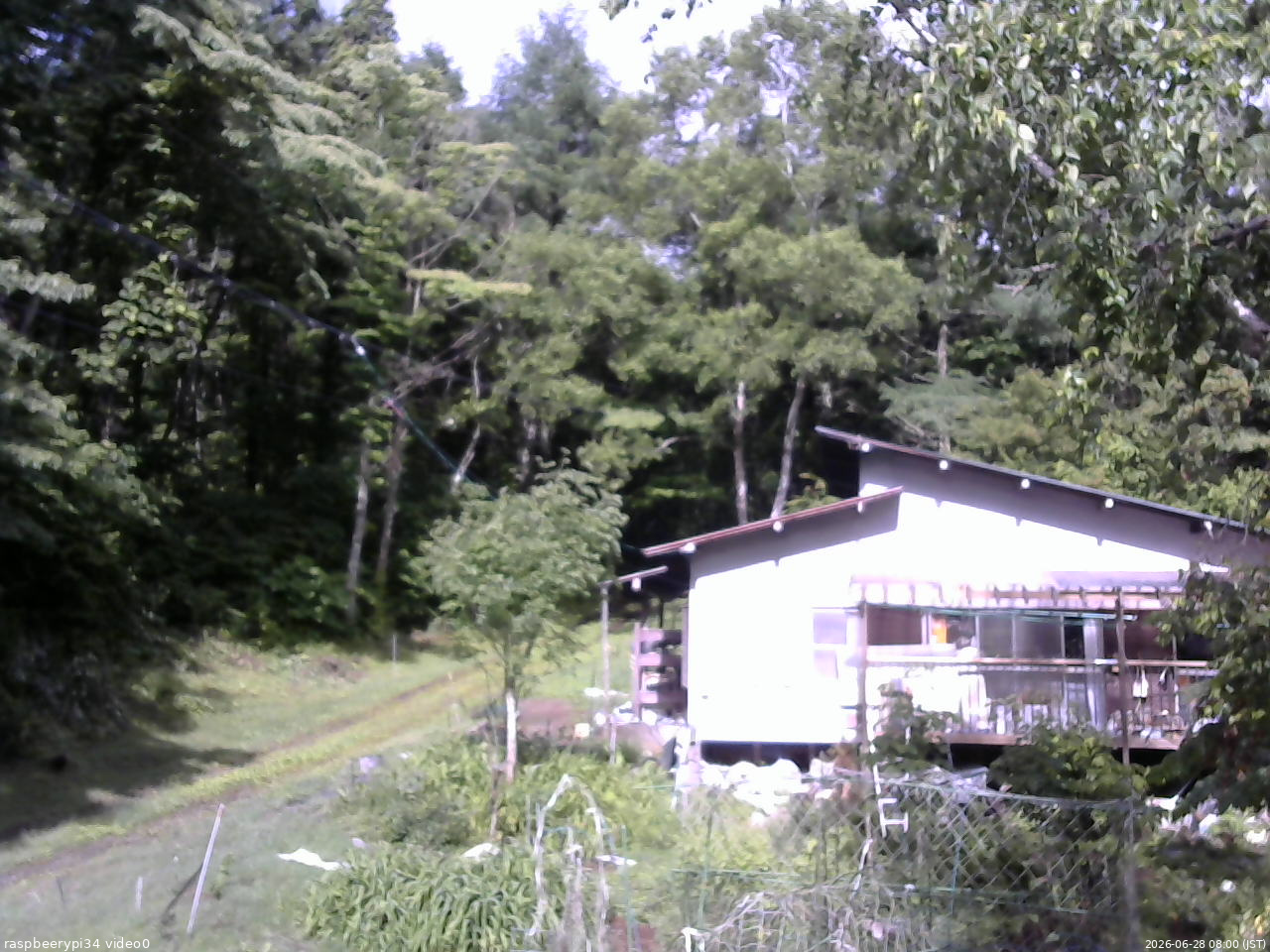 長野県菅平高原 ゆたか山荘 西側(坂上) 2026/06/28 08:00