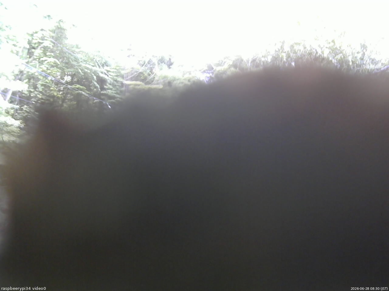 長野県菅平高原 ゆたか山荘 西側(坂上) 2026/06/28 08:30