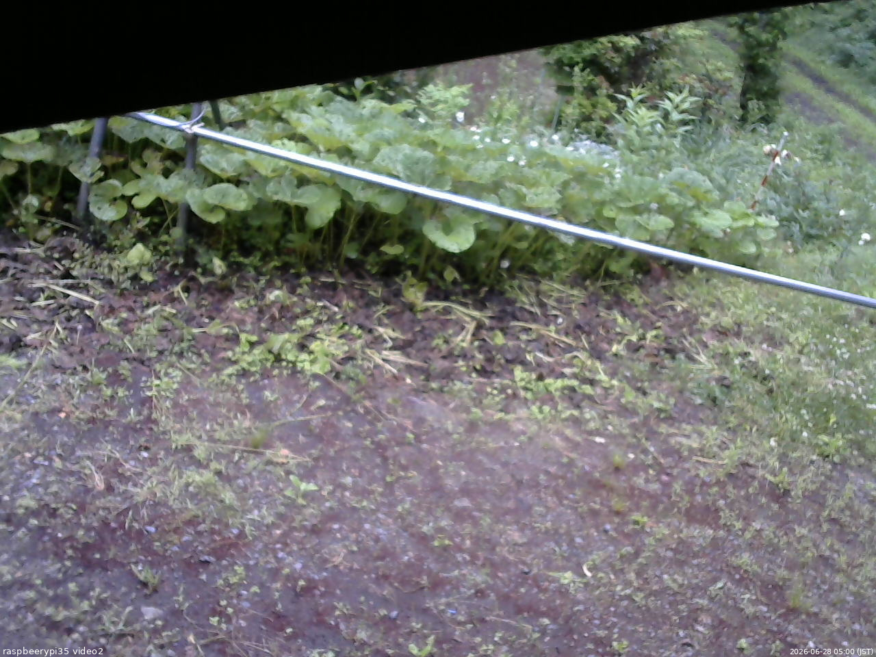 長野県菅平高原 ゆたか山荘 駐車場 2026/06/28 05:00