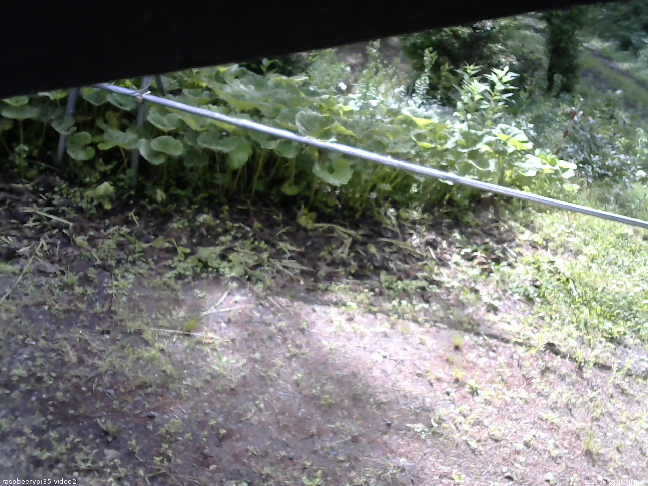 長野県菅平高原 ゆたか山荘 駐車場 2026/06/28 08:00