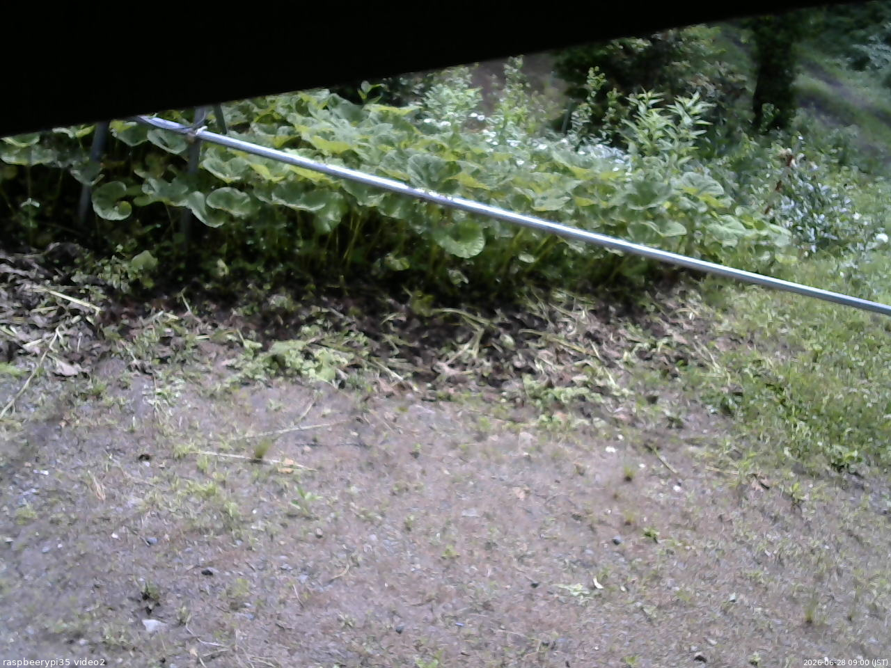 長野県菅平高原 ゆたか山荘 駐車場 2026/06/28 09:00