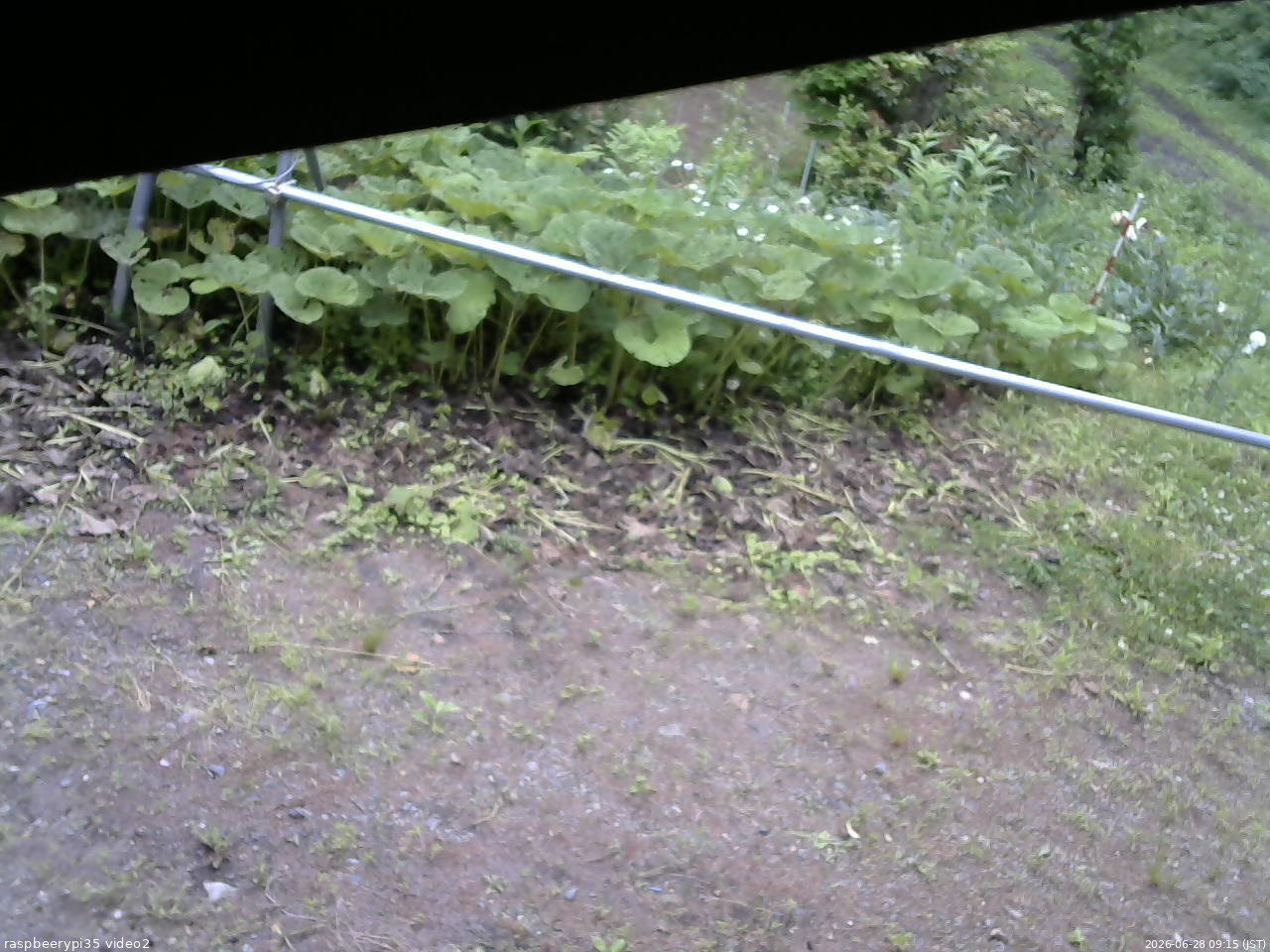 長野県菅平高原 ゆたか山荘 駐車場 2026/06/28 09:15