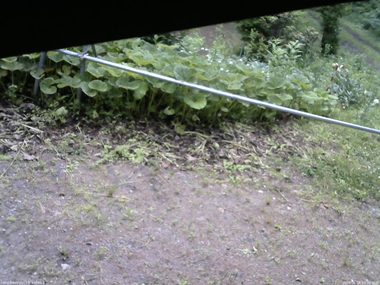 長野県菅平高原 ゆたか山荘 駐車場 2026/06/28 09:30