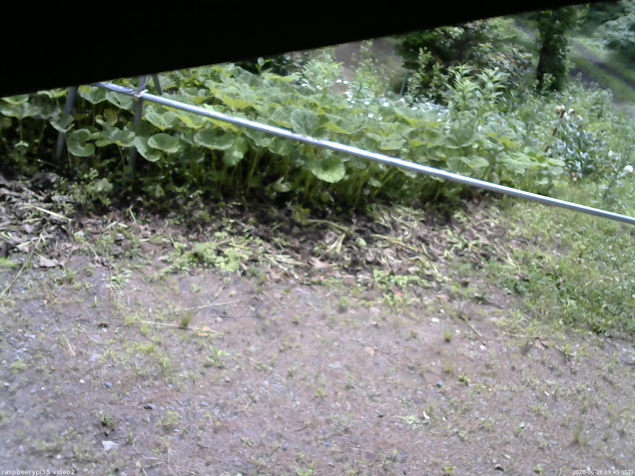 長野県菅平高原 ゆたか山荘 駐車場 2026/06/28 09:45
