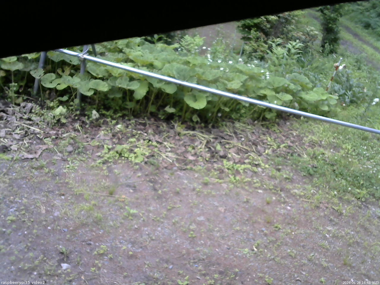 長野県菅平高原 ゆたか山荘 駐車場 2026/06/28 16:45