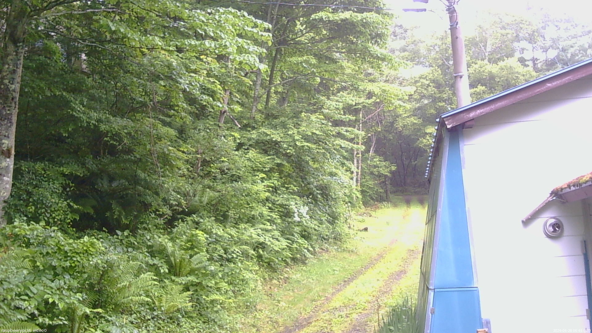 長野県菅平高原 ゆたか山荘 ゆたか山荘 2026/06/28 06:45