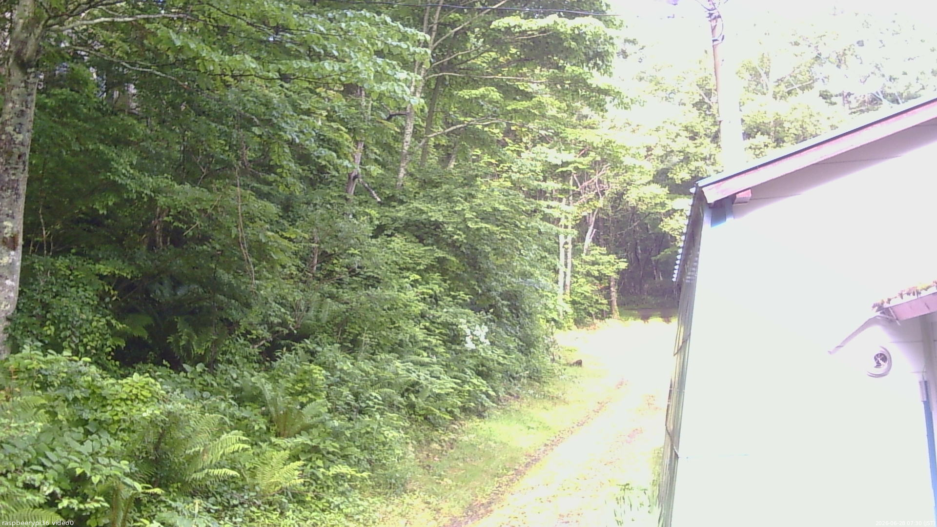 長野県菅平高原 ゆたか山荘 ゆたか山荘 2026/06/28 07:30