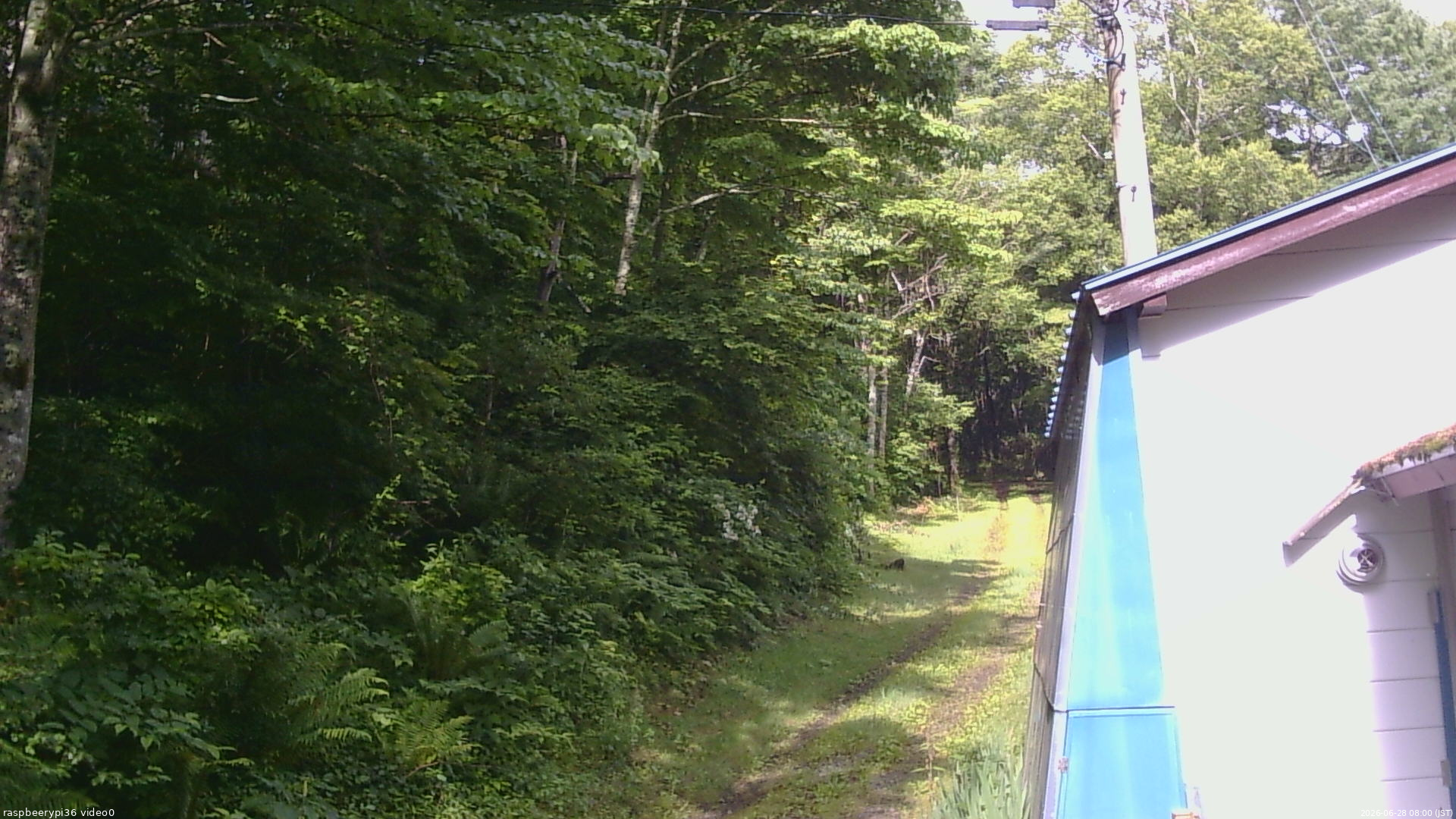 長野県菅平高原 ゆたか山荘 ゆたか山荘 2026/06/28 08:00
