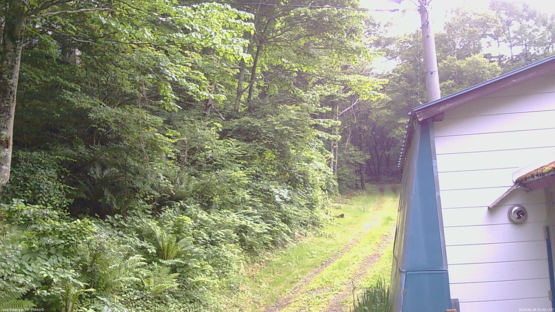 長野県菅平高原 ゆたか山荘 ゆたか山荘 2026/06/28 15:30