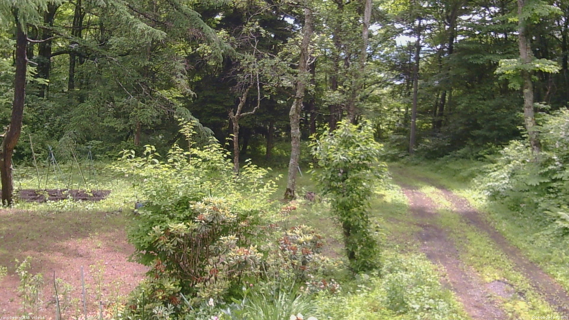 長野県菅平高原 ゆたか山荘 坂上 2026/06/28 10:00