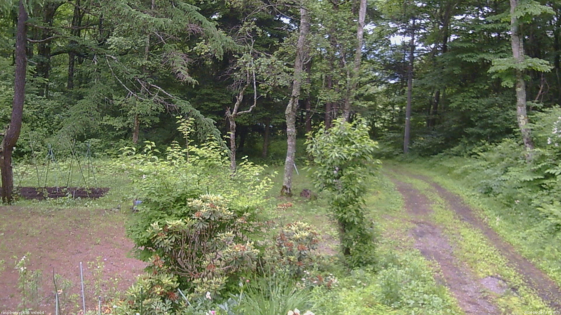 長野県菅平高原 ゆたか山荘 坂上 2026/06/28 13:15