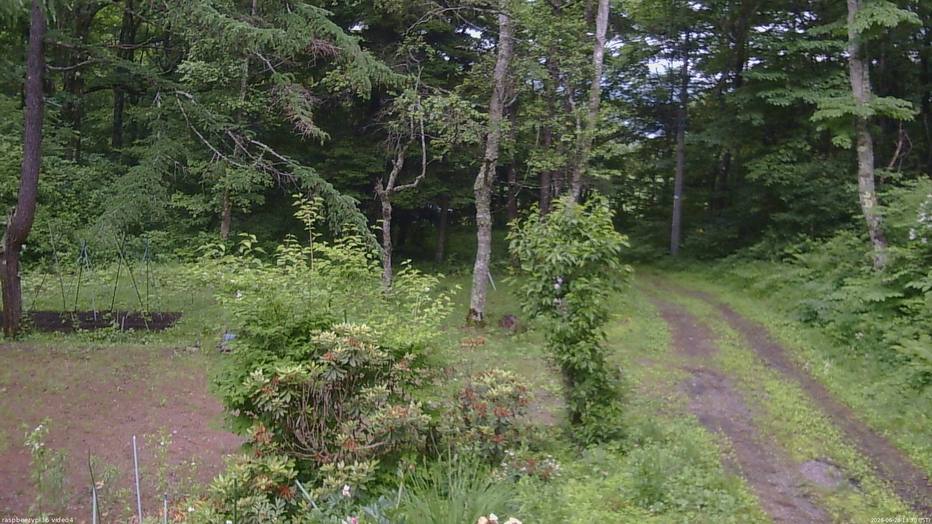 長野県菅平高原 ゆたか山荘 坂上 2026/06/28 13:30