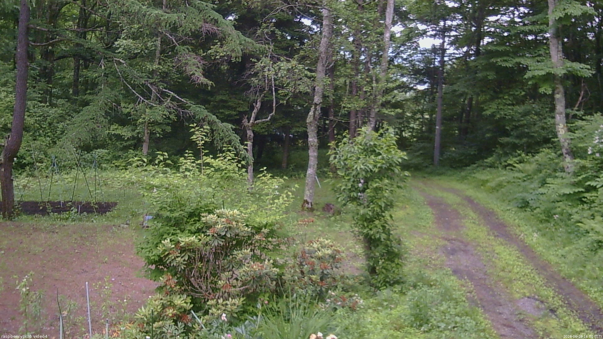長野県菅平高原 ゆたか山荘 坂上 2026/06/28 16:00