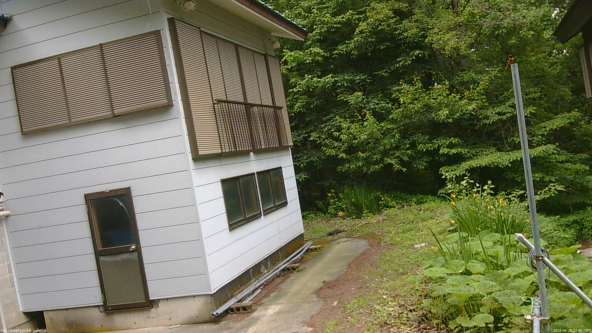 長野県菅平高原 ゆたか山荘 坂下 2026/06/28 17:00
