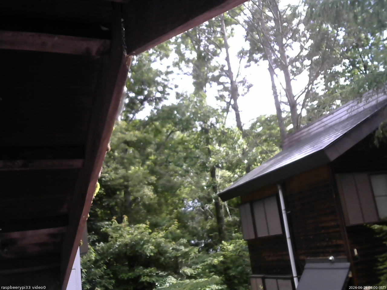 長野県菅平高原 ゆたか山荘 北側 2026/06/29 08:00