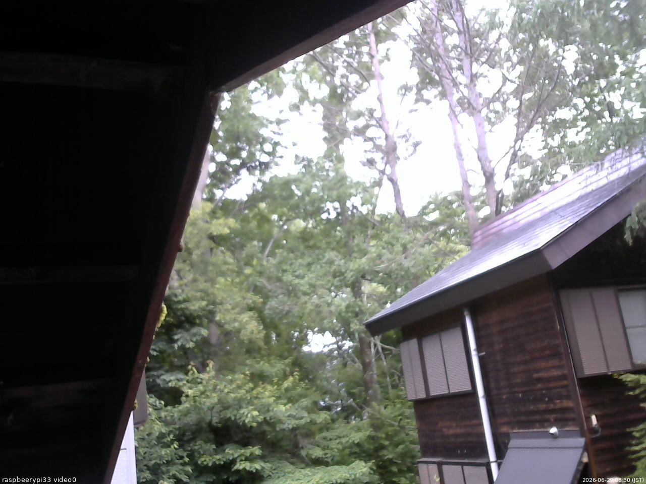 長野県菅平高原 ゆたか山荘 北側 2026/06/29 08:30