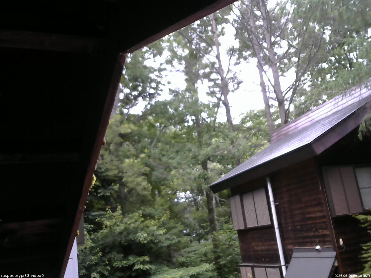 長野県菅平高原 ゆたか山荘 北側 2026/06/29 09:30