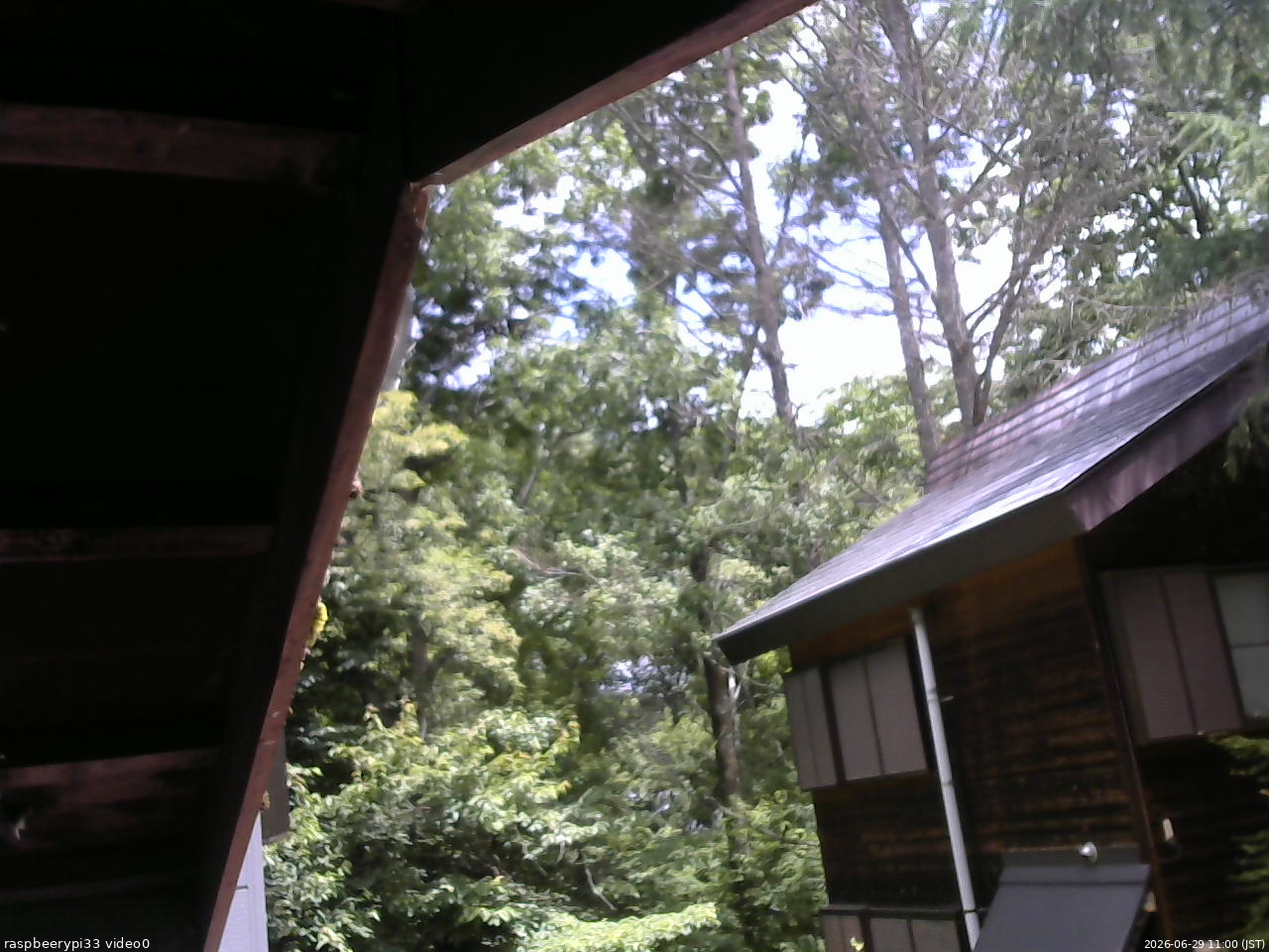 長野県菅平高原 ゆたか山荘 北側 2026/06/29 11:00