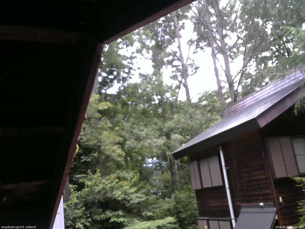長野県菅平高原 ゆたか山荘 北側 2026/06/29 11:30