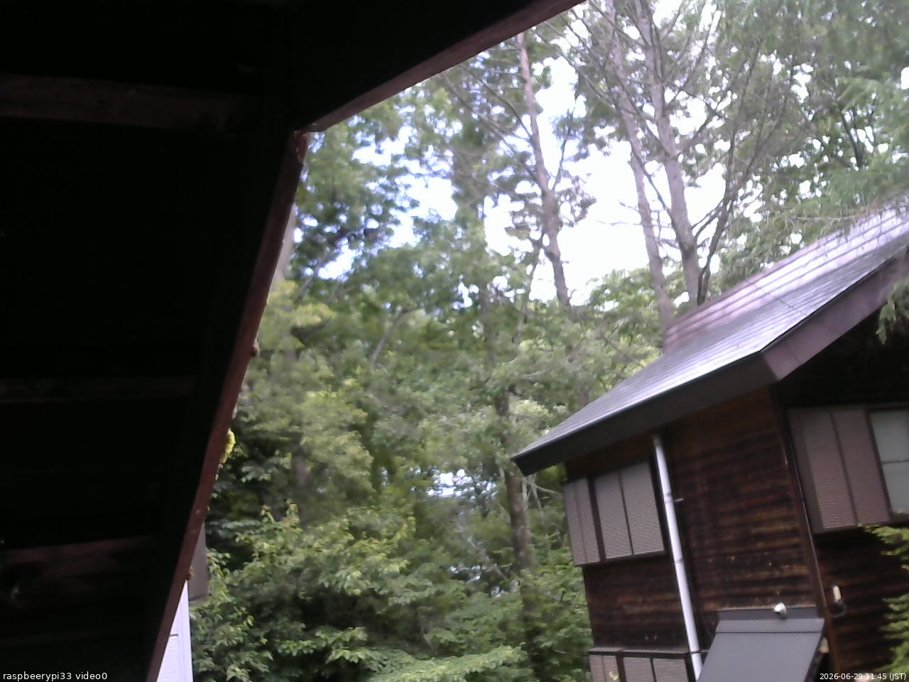 長野県菅平高原 ゆたか山荘 北側 2026/06/29 11:45
