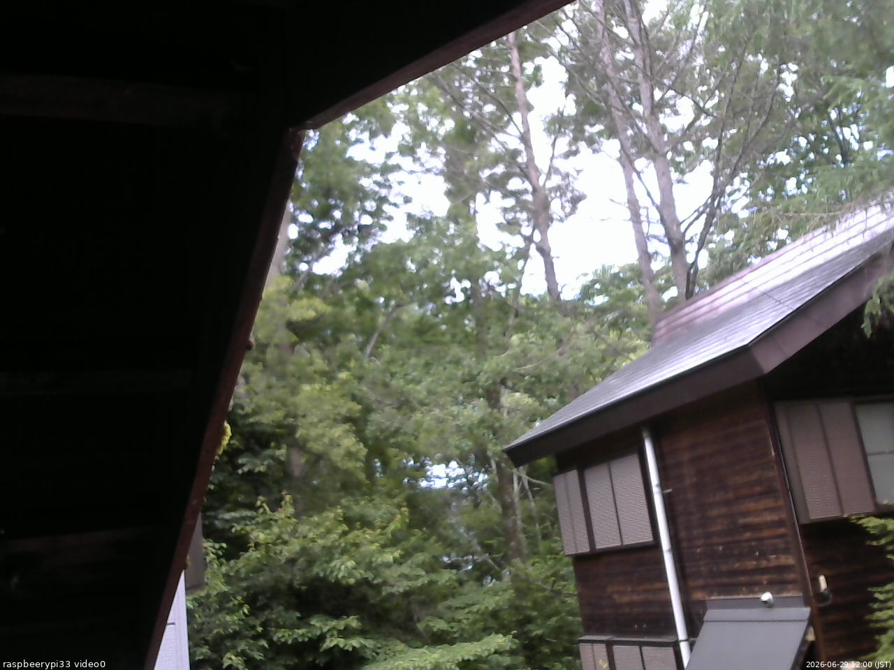 長野県菅平高原 ゆたか山荘 北側 2026/06/29 12:00