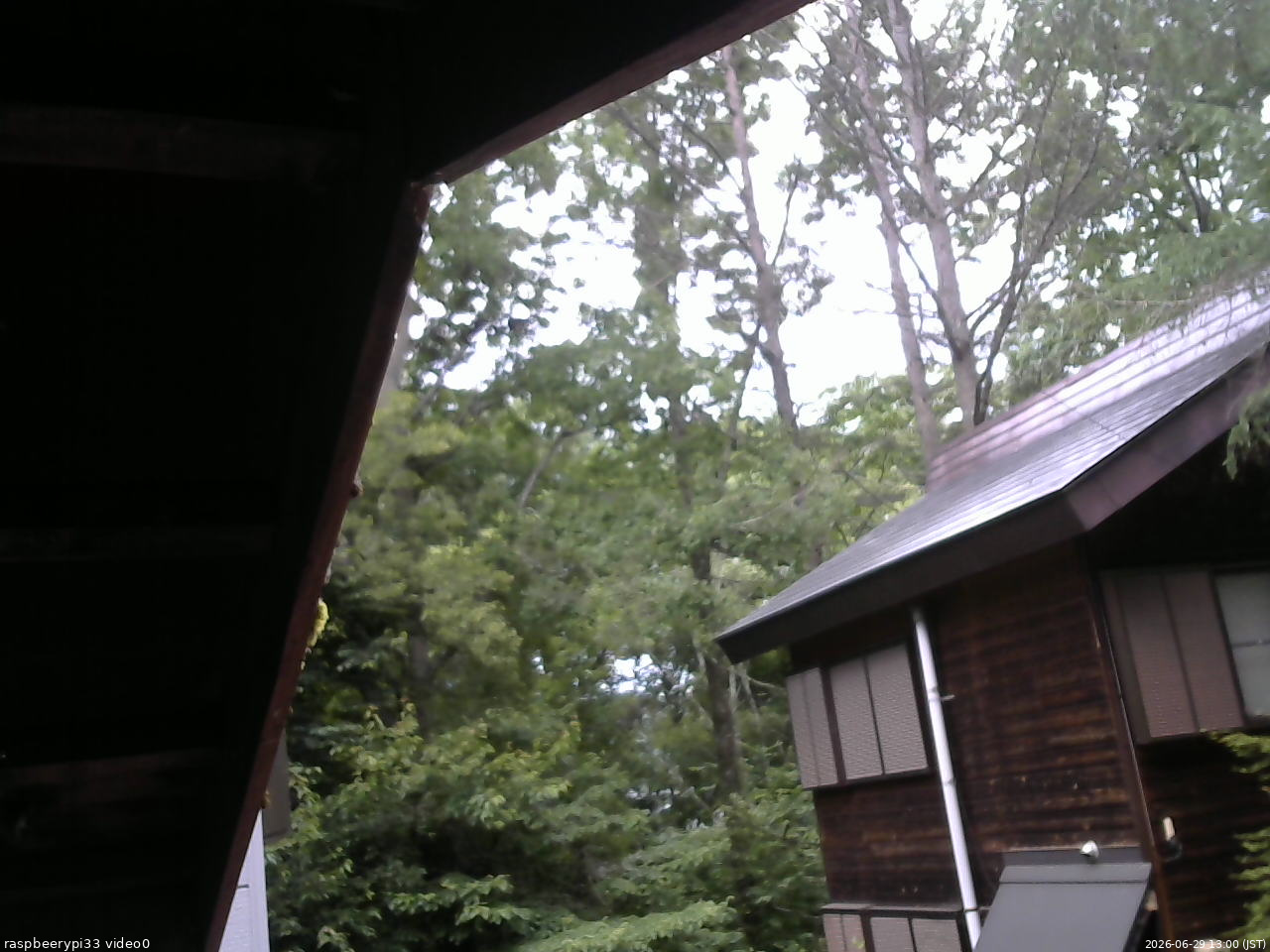 長野県菅平高原 ゆたか山荘 北側 2026/06/29 13:00