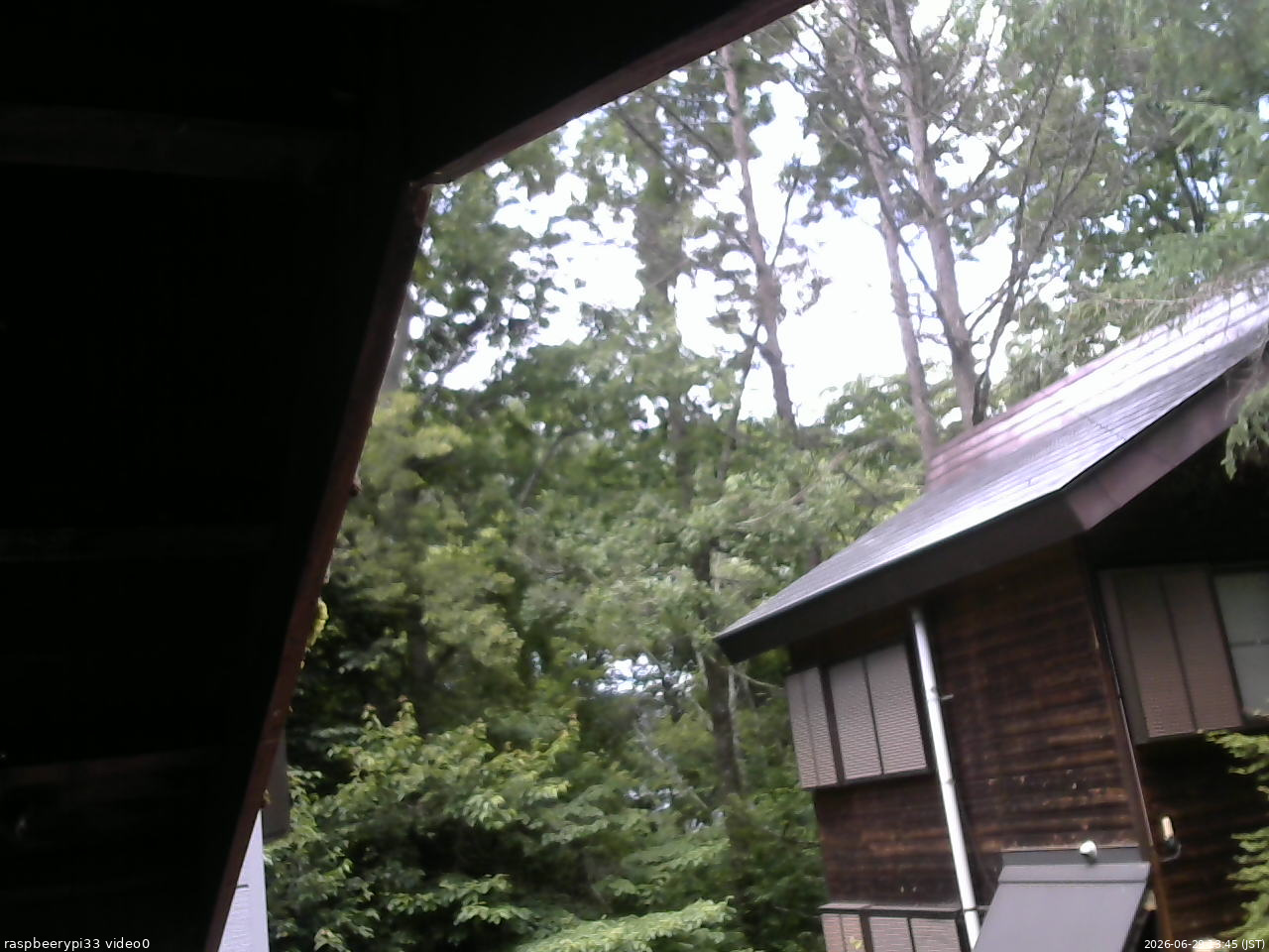 長野県菅平高原 ゆたか山荘 北側 2026/06/29 13:45