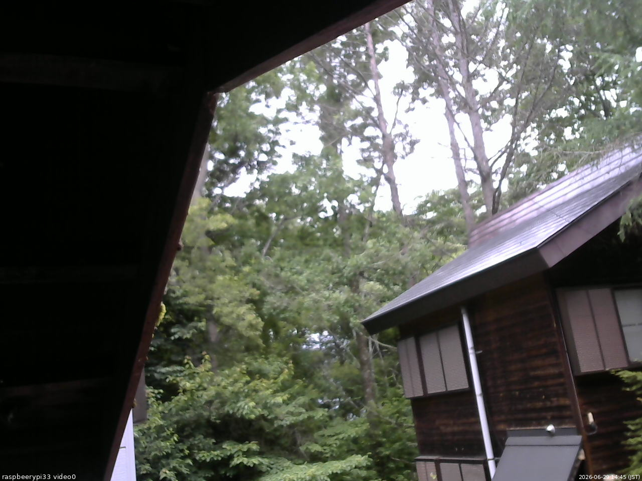 長野県菅平高原 ゆたか山荘 北側 2026/06/29 14:45