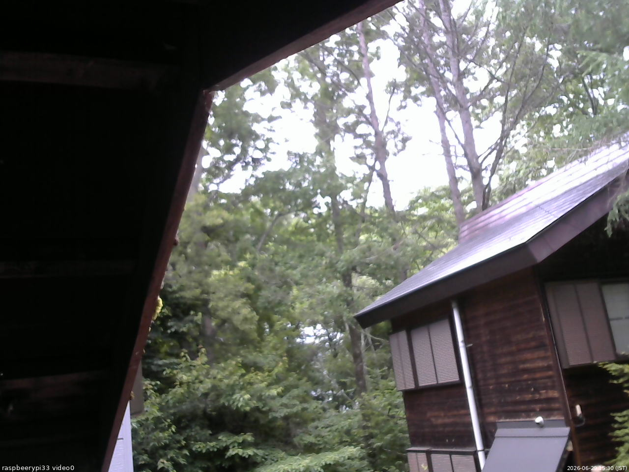 長野県菅平高原 ゆたか山荘 北側 2026/06/29 15:30